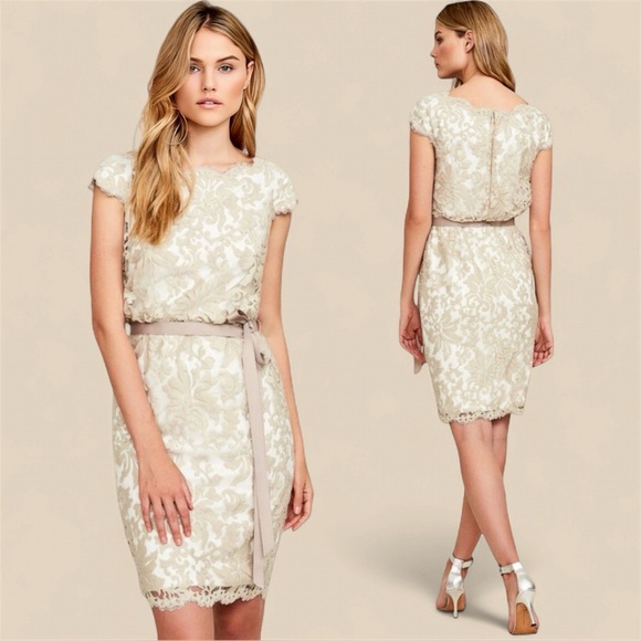 Tadashi Shoji Greta Lace Midi Tie-Waist Cocktail Dress in Sand | 8 - Picture 1 of 9